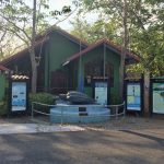 Las Baulas National Park Estuary Tour