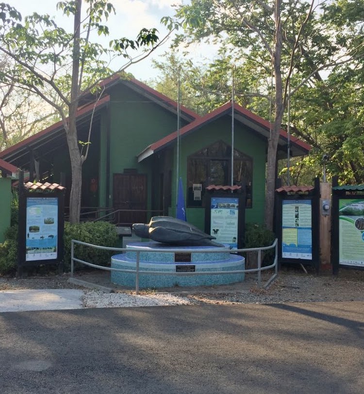 Las Baulas National Park Estuary Tour