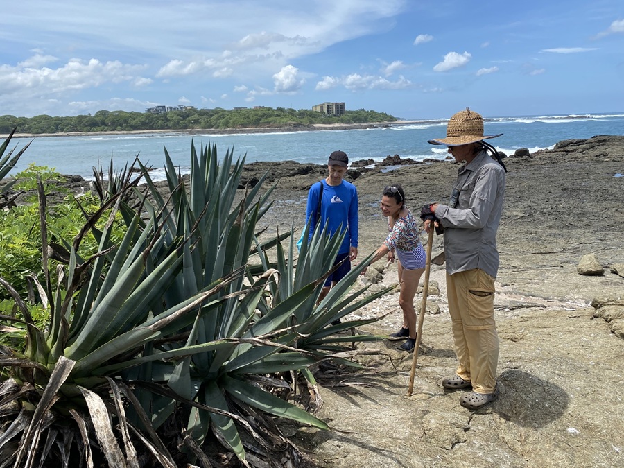 wildlife tour Tamarindo