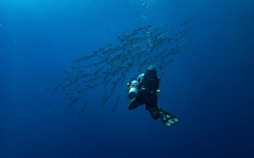 Adventure Tours in Tamarindo